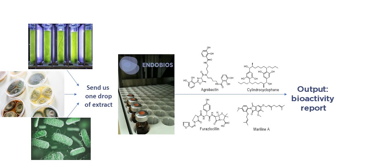 ENDOBIOS: E-discovery services in natural extracts exploitation