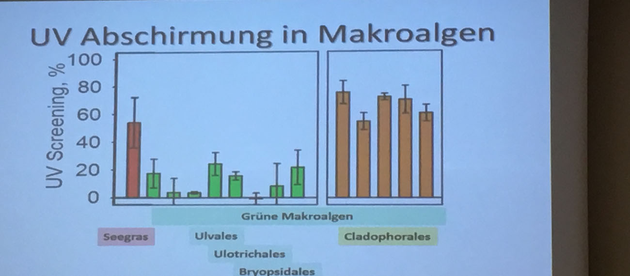 SUBMARINER Network at Federal Algae Assembly (Bundesalgenstammtisch)