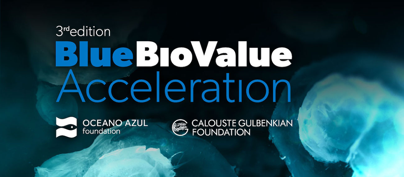 BLUE BIO VALUE 2020