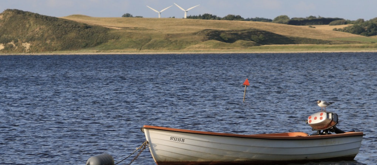 This scandinavian country is constructing the world's first starfish factory