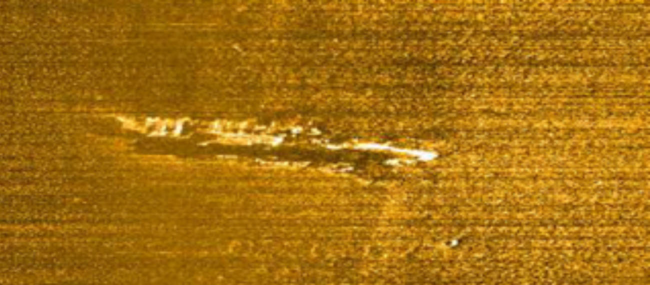 Lithuanian case - Relict forest area