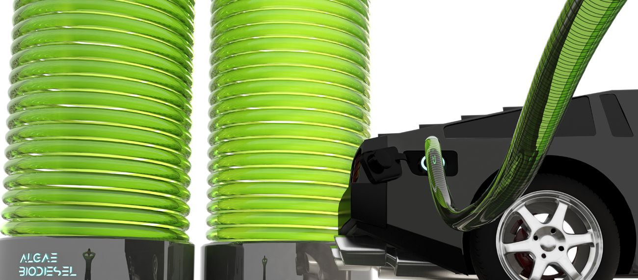 car driven by seaweed