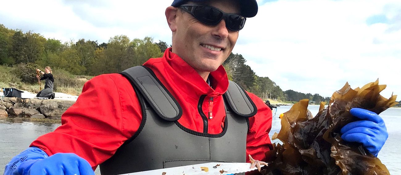 a man with knife and seaweed at the coast