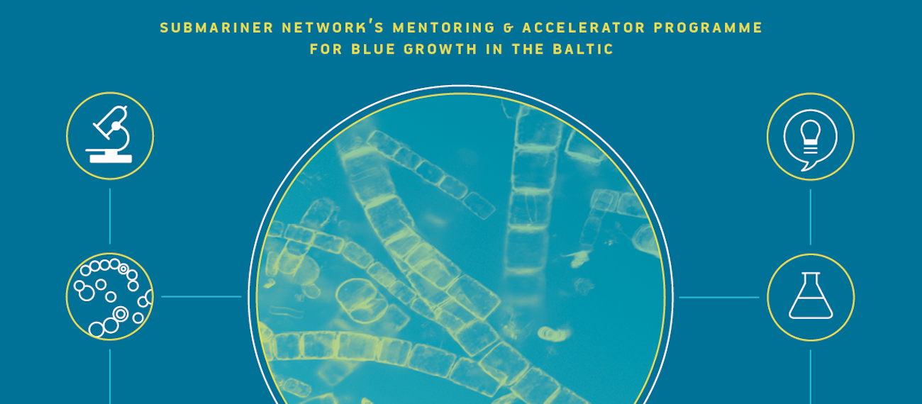 collage of an event with banner calling for blue startups