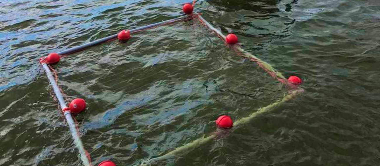 marked area in the sea