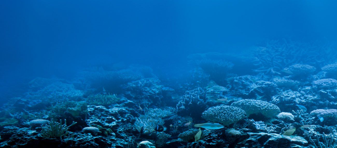sea bottom