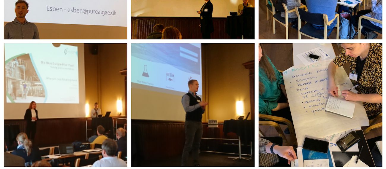 collage of an event with people